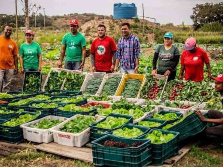 La sfida in Borsa dei contadini del Brasile