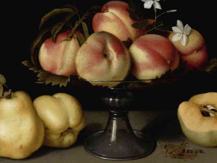 Fede Galizia, pittrice “neutra”