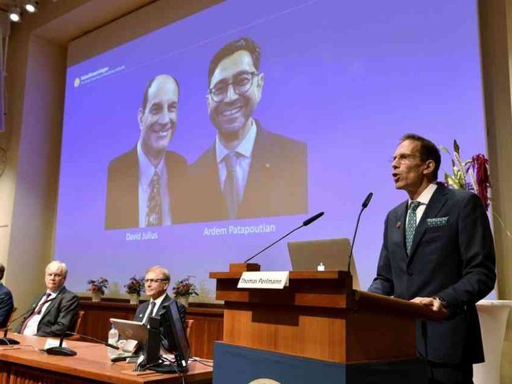 Nobel (al peperoncino) per le scoperte sulla percezione tattile e termica