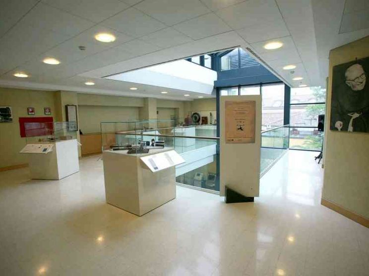 Alleanza tra mente e corpo la cultura che dà vita alla relazione