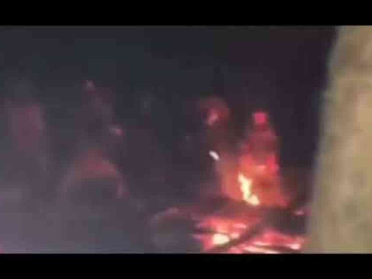 Famiglie di profughi isolate nei boschi. «Non abbiamo più cibo, moriremo»