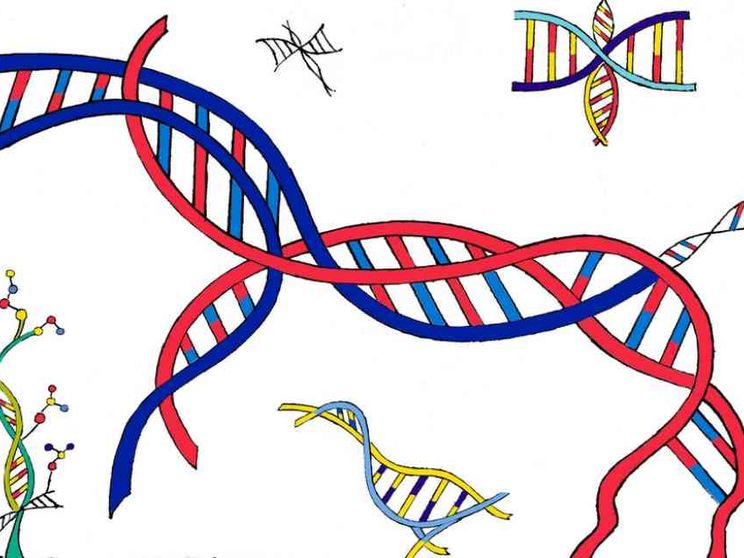 La scienza come la poesia. E anche la fisica è «bella»