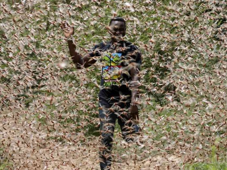 Il riscaldamento globale fa male alla salute dei poveri