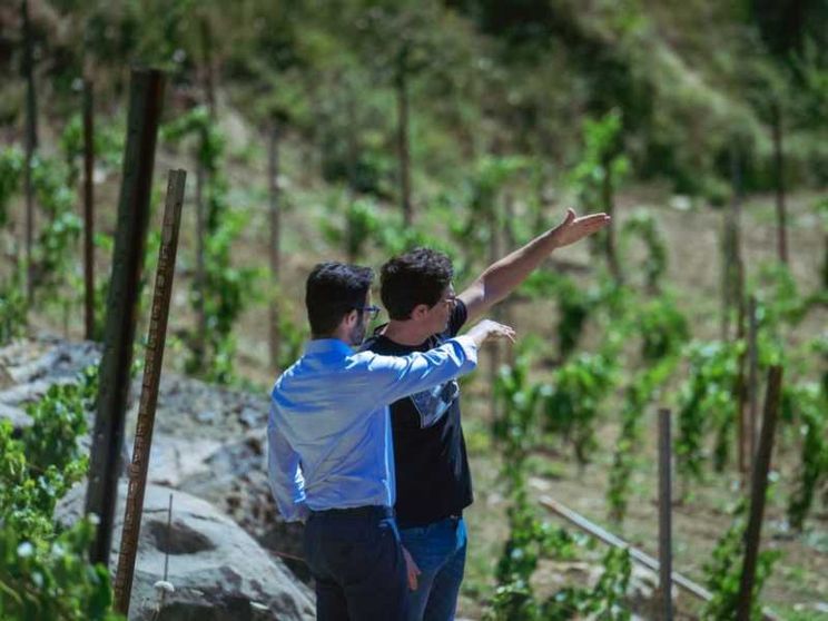 Dall'allevamento al turismo, rinascita verde per gli Appennini