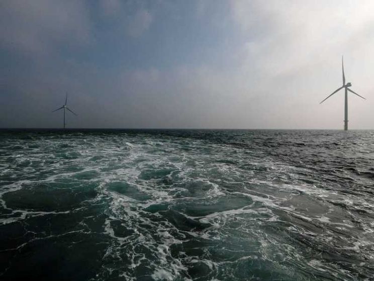 Gli ostacoli imprevisti dell'eolico: renne e pescatori fermano le pale