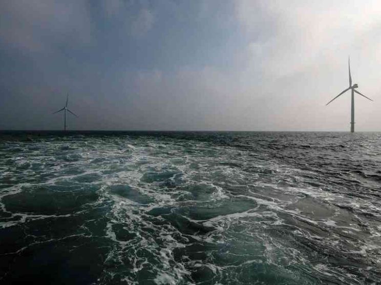 Gli ostacoli imprevisti dell'eolico: renne e pescatori fermano le pale