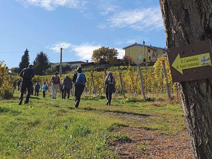 Con sant'Antonio il pellegrinaggio staffetta che conquista il Triveneto