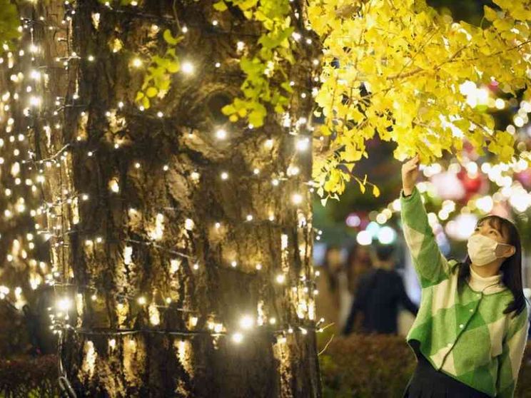 A Tokyo il mistero del Covid scomparso: in 3 mesi i contagi si sono azzerati