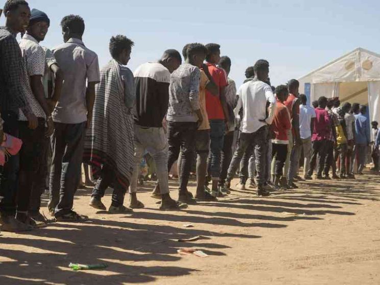 Semafori, Tigrai e bisonti: le guerre affamano con le terre bruciate