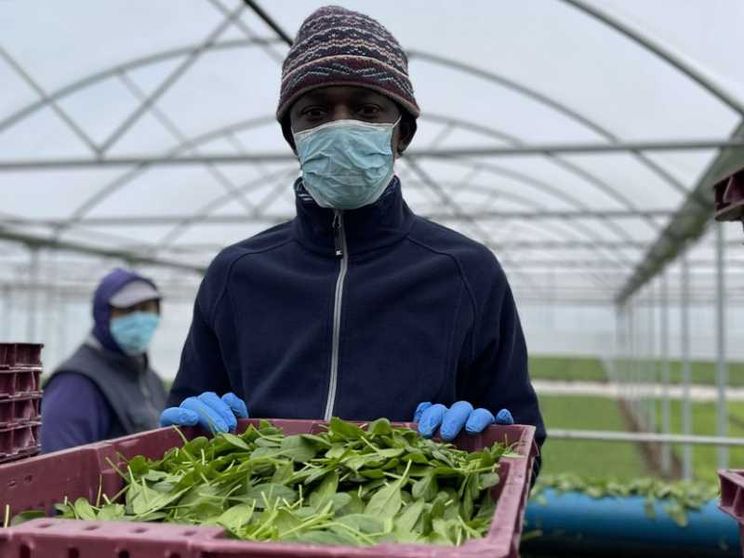Braccianti assunti: con NoCap il caporalato si ferma a Eboli