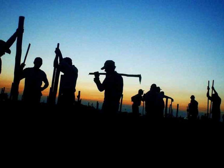 I «ladri di terre» si mangiano pezzi di Amazzonia brasiliana