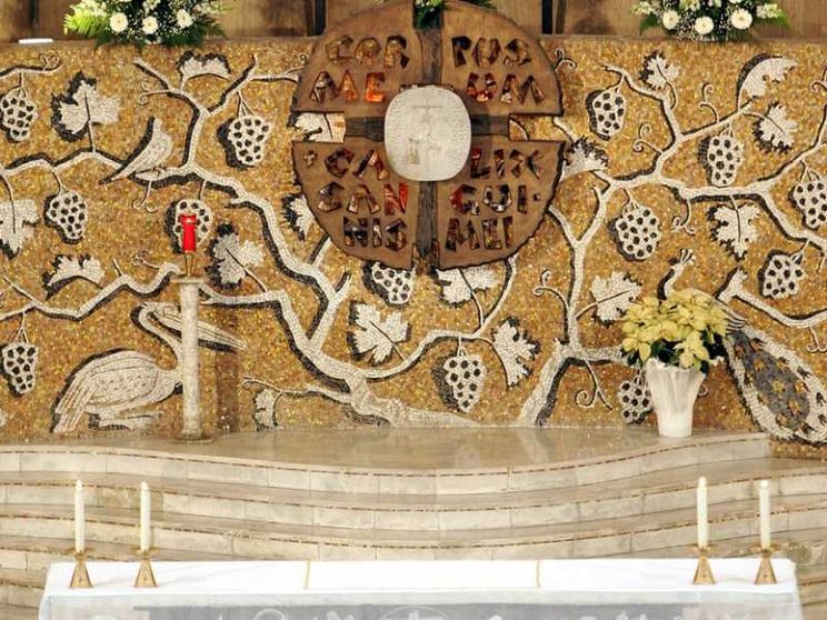 Le Messe in diretta tv e social di sabato 22 e domenica 23 gennaio 2022