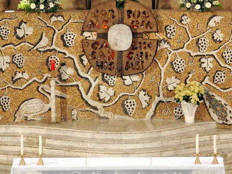 Le Messe in diretta tv e social di sabato 22 e domenica 23 gennaio 2022