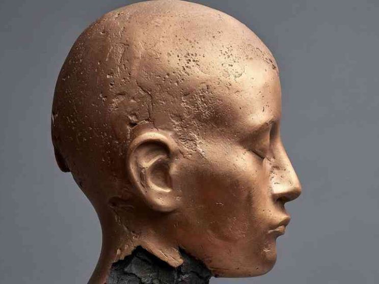 Dietro gli schermi l'imbarazzo scolora