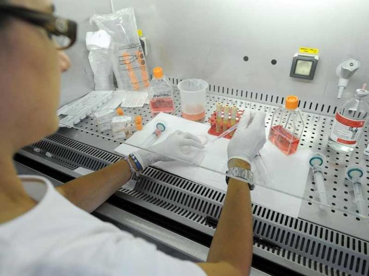 Nel 2045 la fine della fertilità umana? Un allarme trascurato