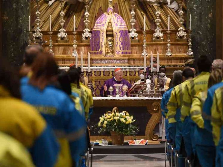 Bassetti alle “Misericordie”: un albero grande e fruttuoso