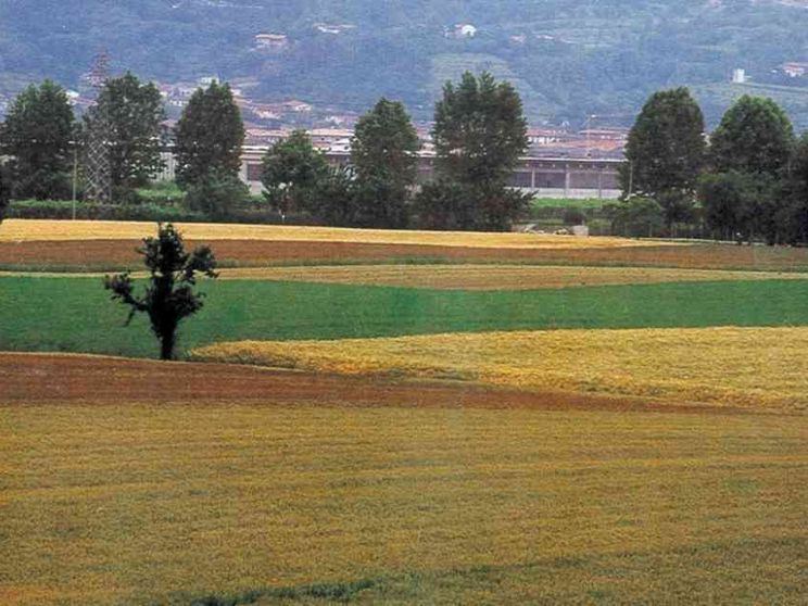 La guerra in Ucraina è diventata crisi umanitaria e alimentare