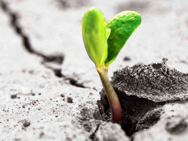 Con le vittime e per la pace una resistenza nonviolenta