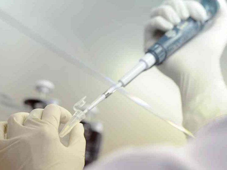 D’Agostino: la persona è la chiave per una bioetica della tecno-scienza