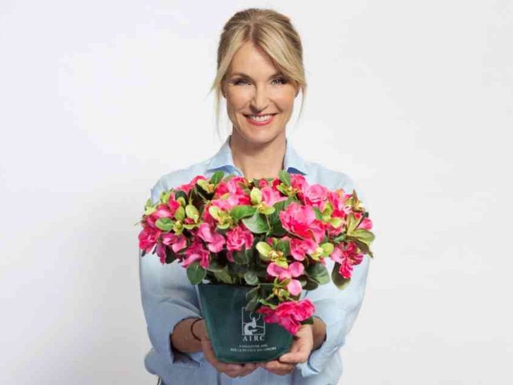 Tumori femminili, 182mila nuovi casi nel 2021. Domenica 8 le Azalee della ricerca