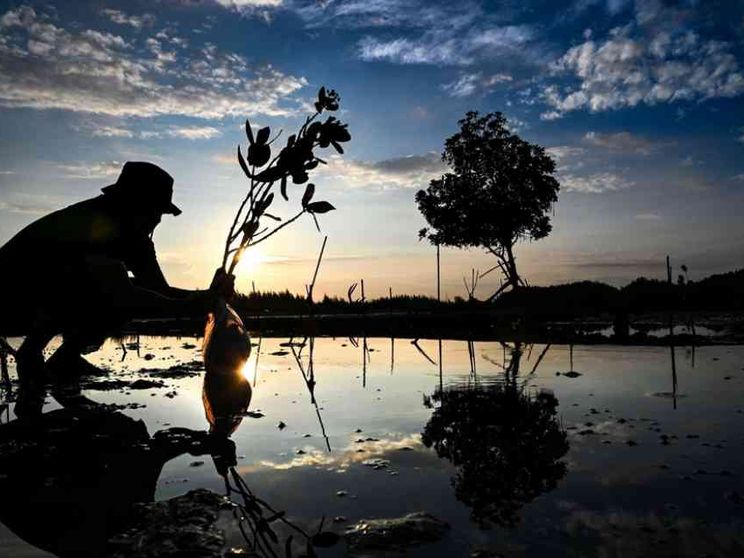 Il ritorno del «Club di Roma»: si fermi lo sterminio del futuro