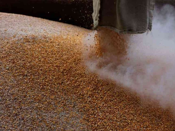 Chi tiene in ostaggio i cereali ucraini e perché non salpano navi da Odessa