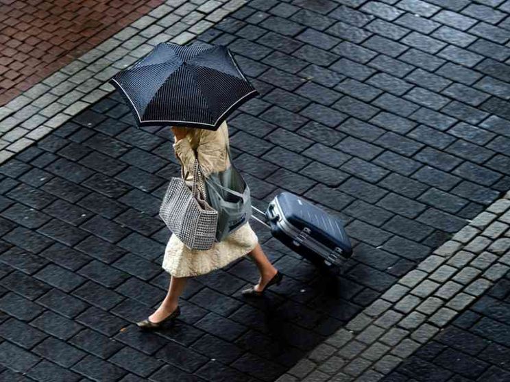 La sorprendente genealogia delle donne manager dall'Ottocento a oggi