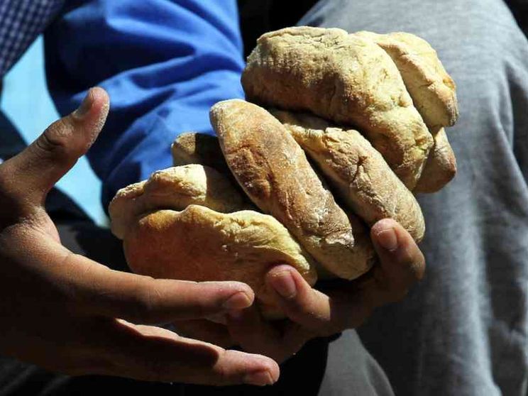 Giornata del Creato, la Cei: torniamo al gusto del pane