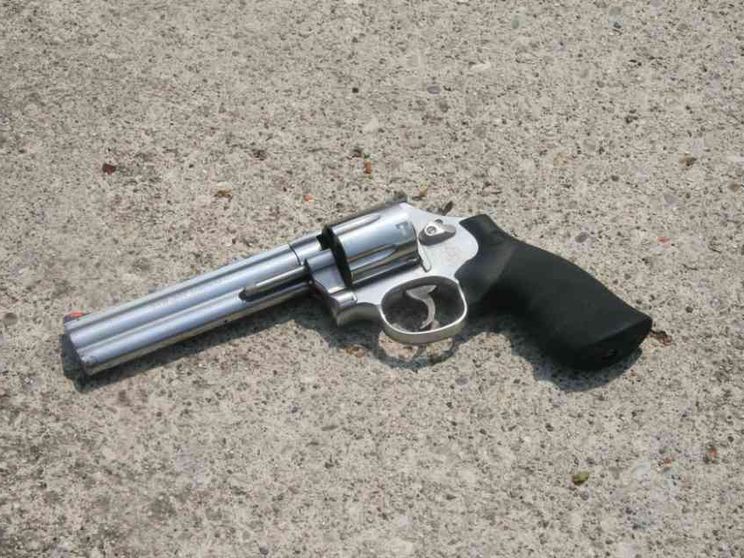 Bimbo di due anni spara e uccide il padre