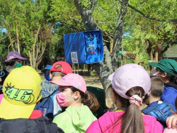 In Val D'Arno il primo bosco realizzato con il crowdfunding
