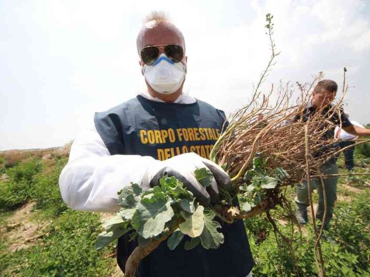 L’invito della Cei: contro le agromafie sosteniamo chi opera nella legalità