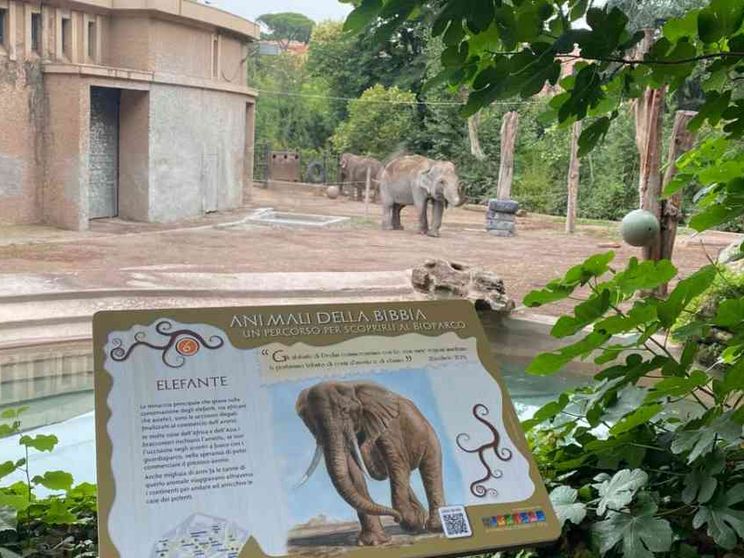 Inaugurato l'itinerario "Animali della Bibbia" al Bioparco di Roma