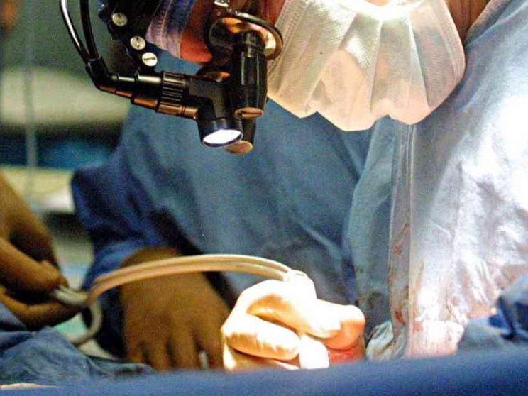 Ora organi e tessuti si stampano in 3D