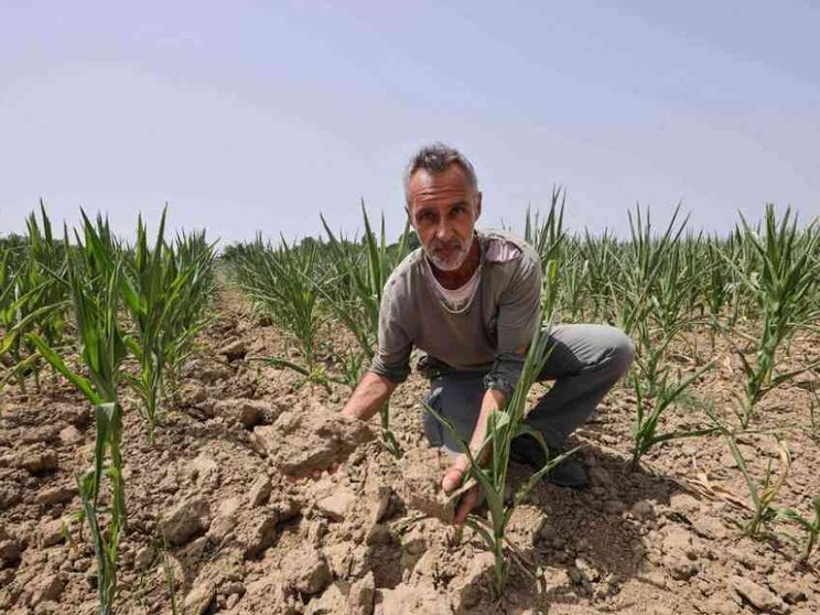 La terra è polvere, boom degli insetti. E il Grande Fiume è sempre più salato