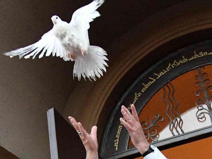 La Giornata per la carità del Papa, segno di pace