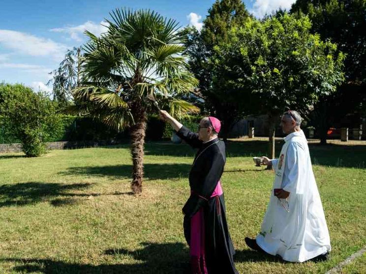 Siccità, Delpini invoca la Madonna della Bassa. "Cambiamo stili di vita"