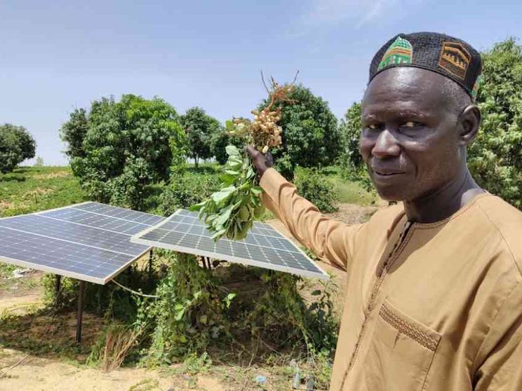 Senegal, investire nell'agricoltura per non continuare a scappare