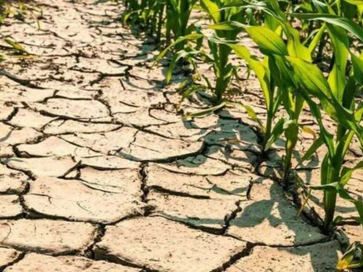 Il Papa: si affrontino i rischi climatici riducendo le emissioni