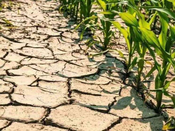 Il Papa: si affrontino i rischi climatici riducendo le emissioni