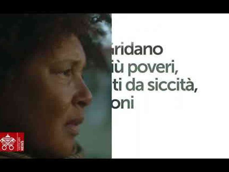 Messaggio del Papa: rispondiamo coi fatti al “grido amaro” della Terra