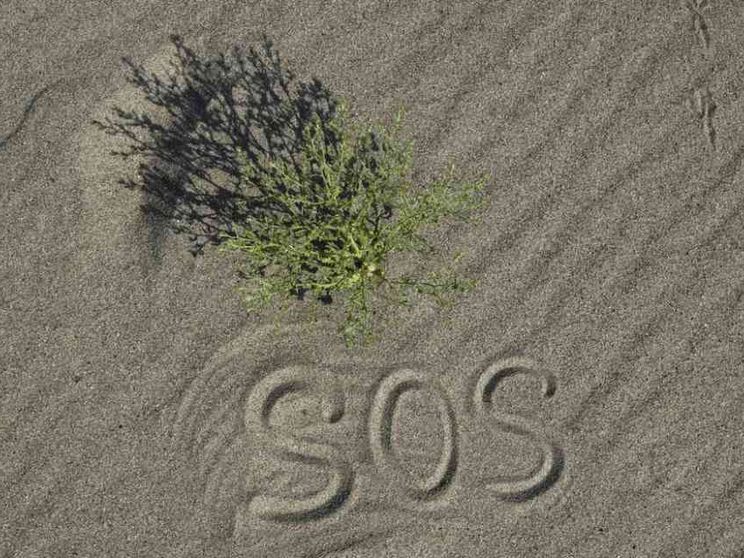 Perdura la siccità, «come figli chiediamo a Dio il dono dell'acqua»