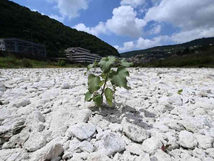 L'estate durerà fino a sei mesi. Milano sarà calda come il Texas