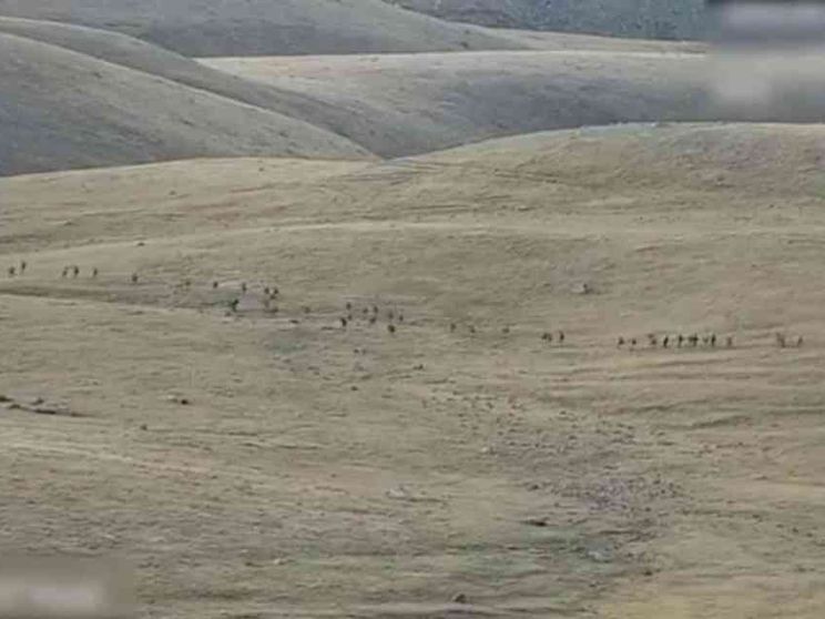 Scontri tra Armenia e Azerbaigian, cento morti. L'escalation e gli interessi