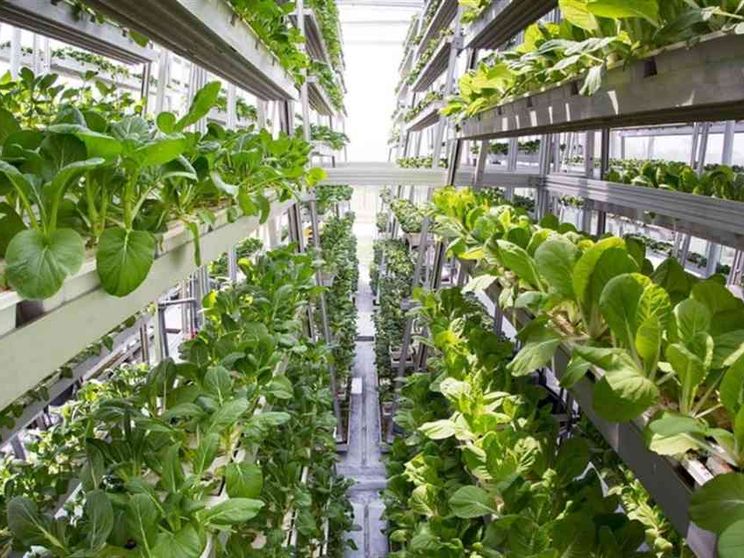 Un futuro in salita, ma export e bio battono la crisi