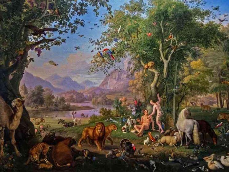 L'uomo nel mondo: verso un'etica della responsabilità