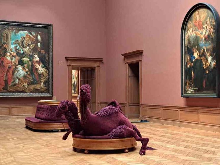 Riapre dopo 10 anni il Museo Reale di Anversa, gli Uffizi dei fiamminghi