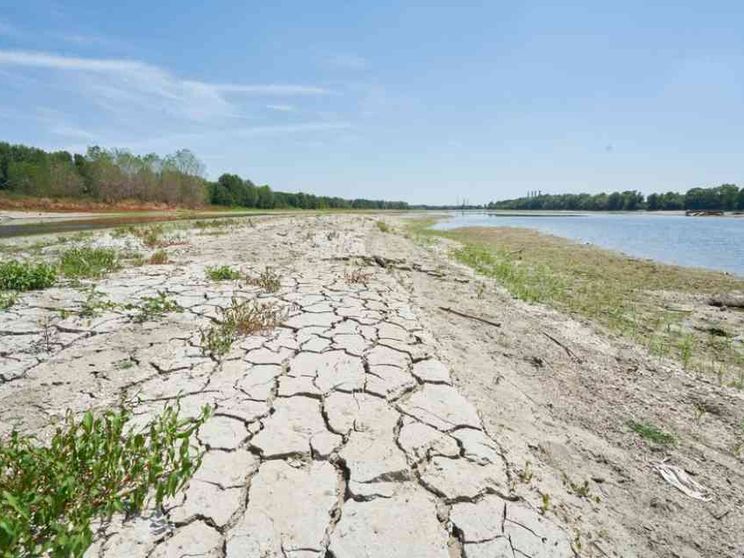 La sfida dell'antropocene: estendere la reciprocità alla terra profanata