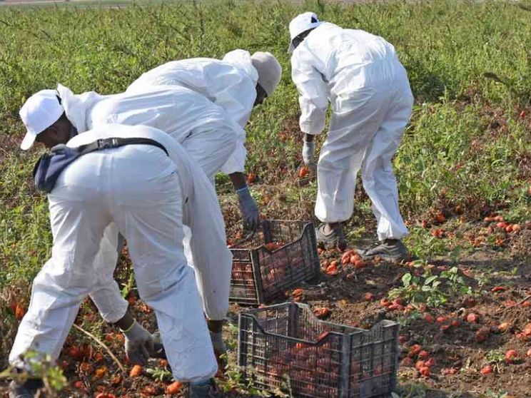 Contro lo sfruttamento del lavoro serve anche l'aiuto dei consumatori