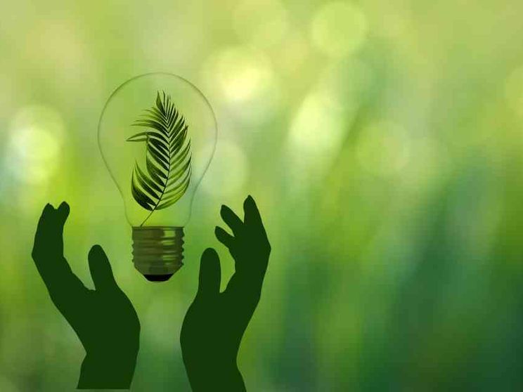 Le aziende cercano manager specializzati nella transizione ecologica