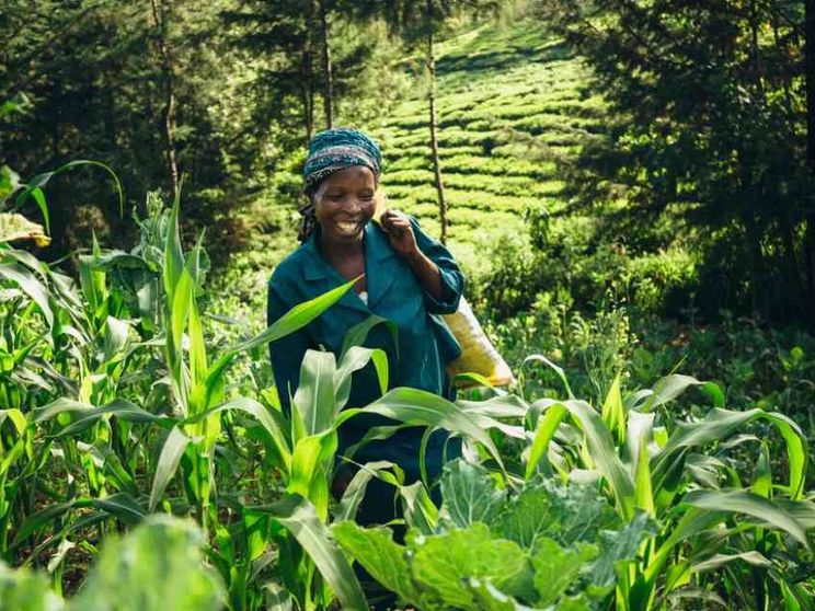Pianeta terra, è allarme rosso. «Più foreste per salvare l'umanità»